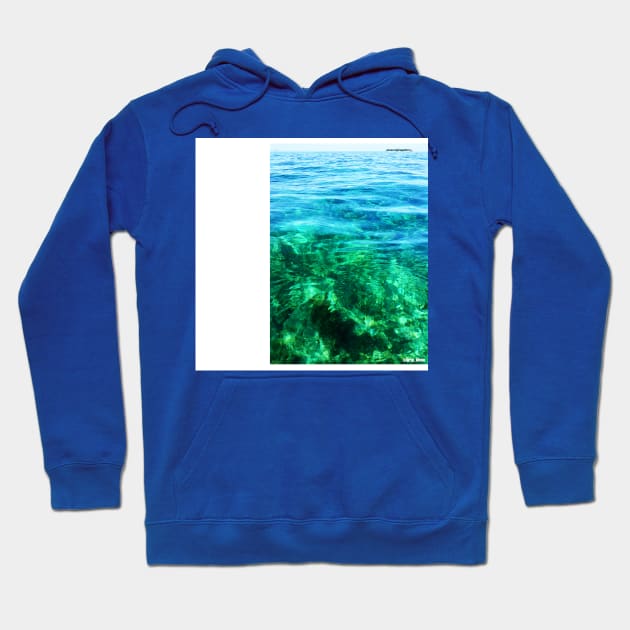 wetland paradise reef caribe Hoodie by jorge_lebeau